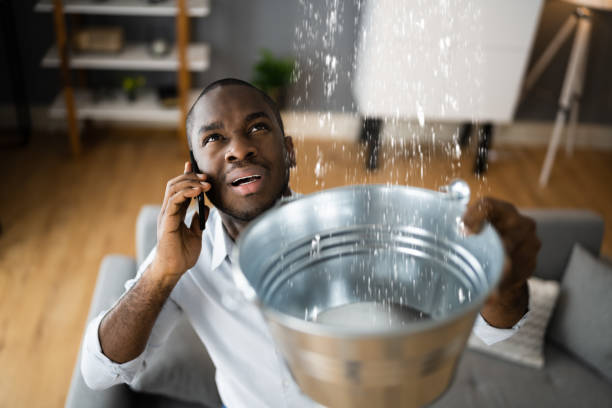 Best Fire Damage Restoration  in Moreno Valley, CA