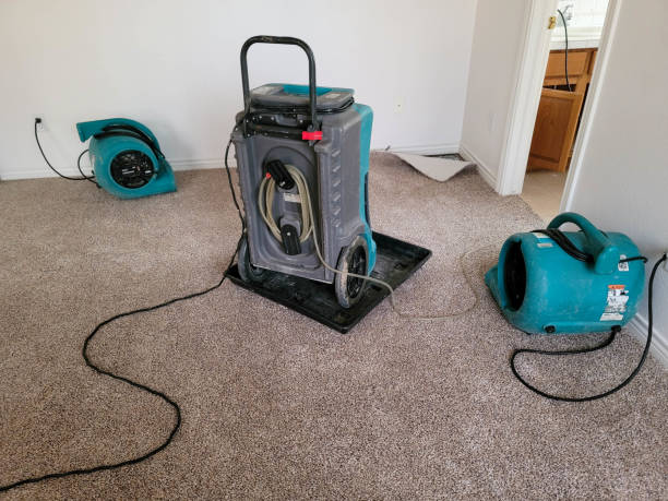Best Carpet water damage restoration  in Moreno Valley, CA
