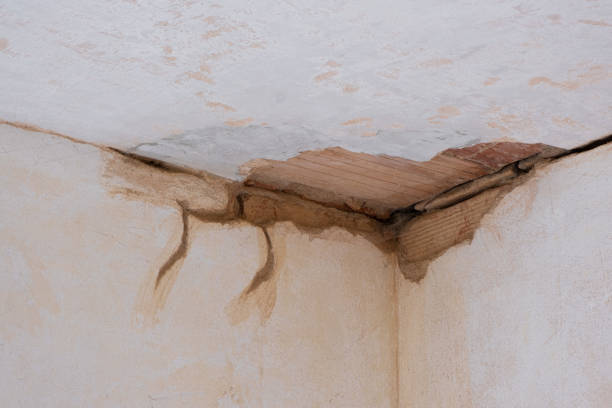 Best Ceiling water damage repair  in Moreno Valley, CA