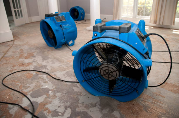 Best Residential water damage restoration  in Moreno Valley, CA