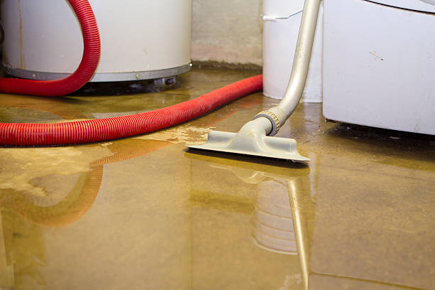 Best Local water damage restoration  in Moreno Valley, CA