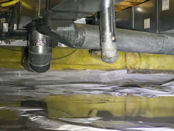 Best Mold removal after water damage  in Moreno Valley, CA